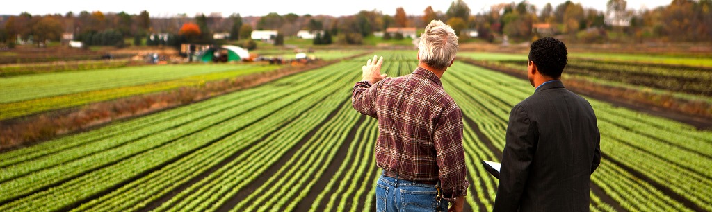 what-can-i-do-with-an-agribusiness-mba-mba-central