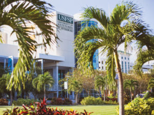 University Of South Florida St. Petersburg From Website - MBA Central